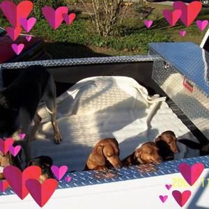 Meet your Posher, Eva